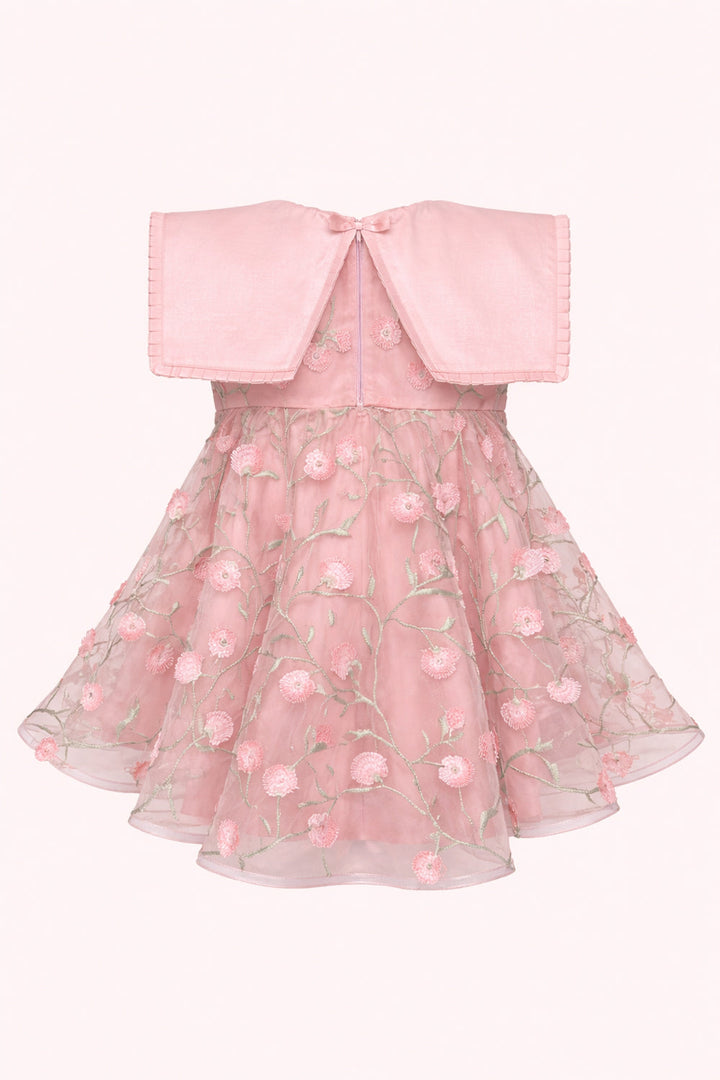 Elsa Embroidered Mini Dress
