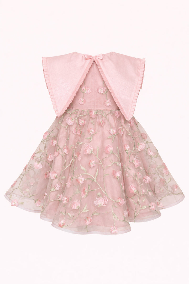 Elsa Embroidered Mini Dress