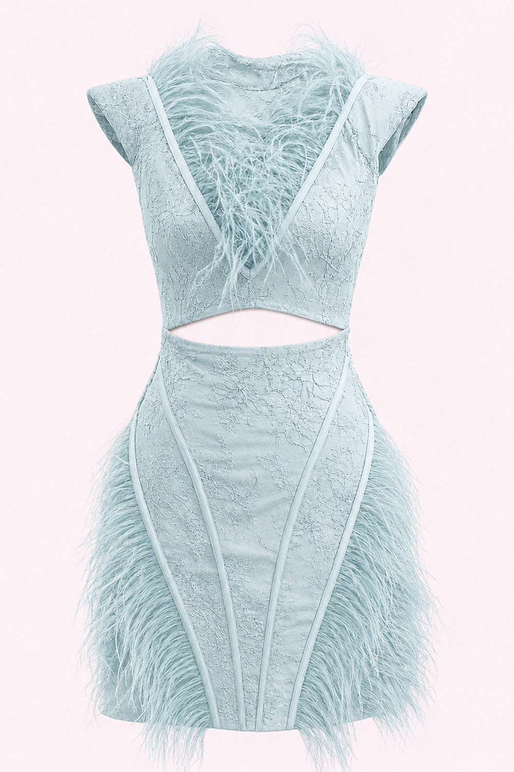 Luciana Feather Lace Mini Dress