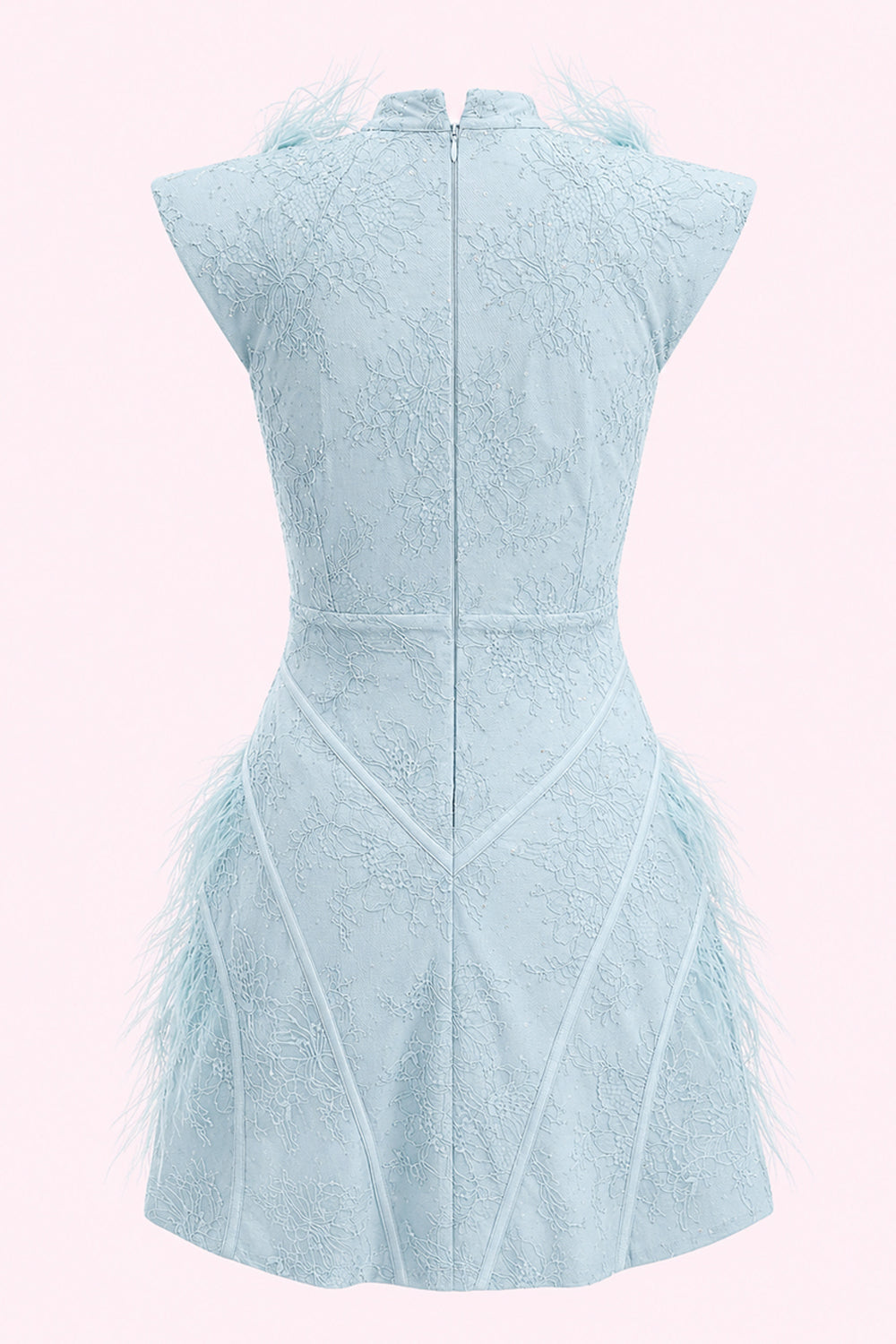 Luciana Feather Lace Mini Dress