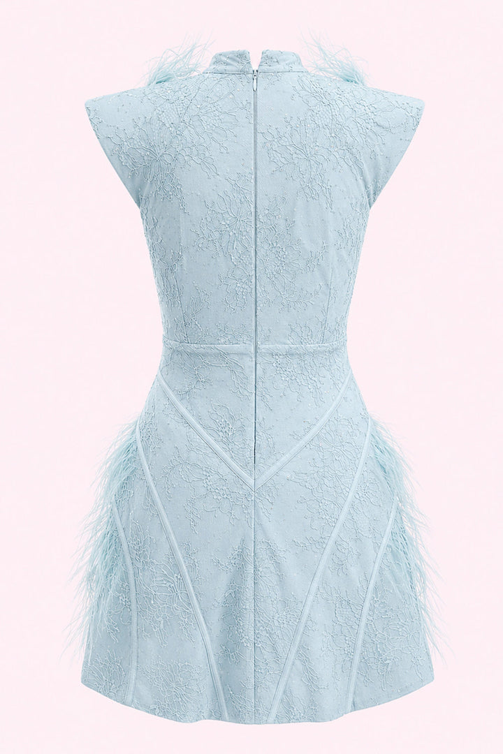 Luciana Feather Lace Mini Dress