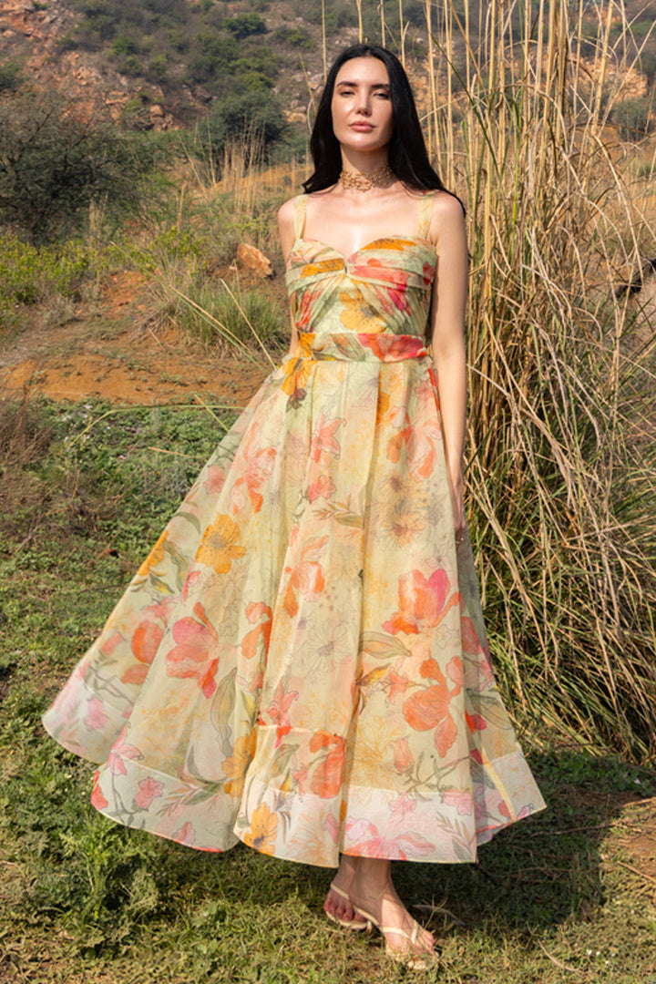 Alice Printed Organza Dress