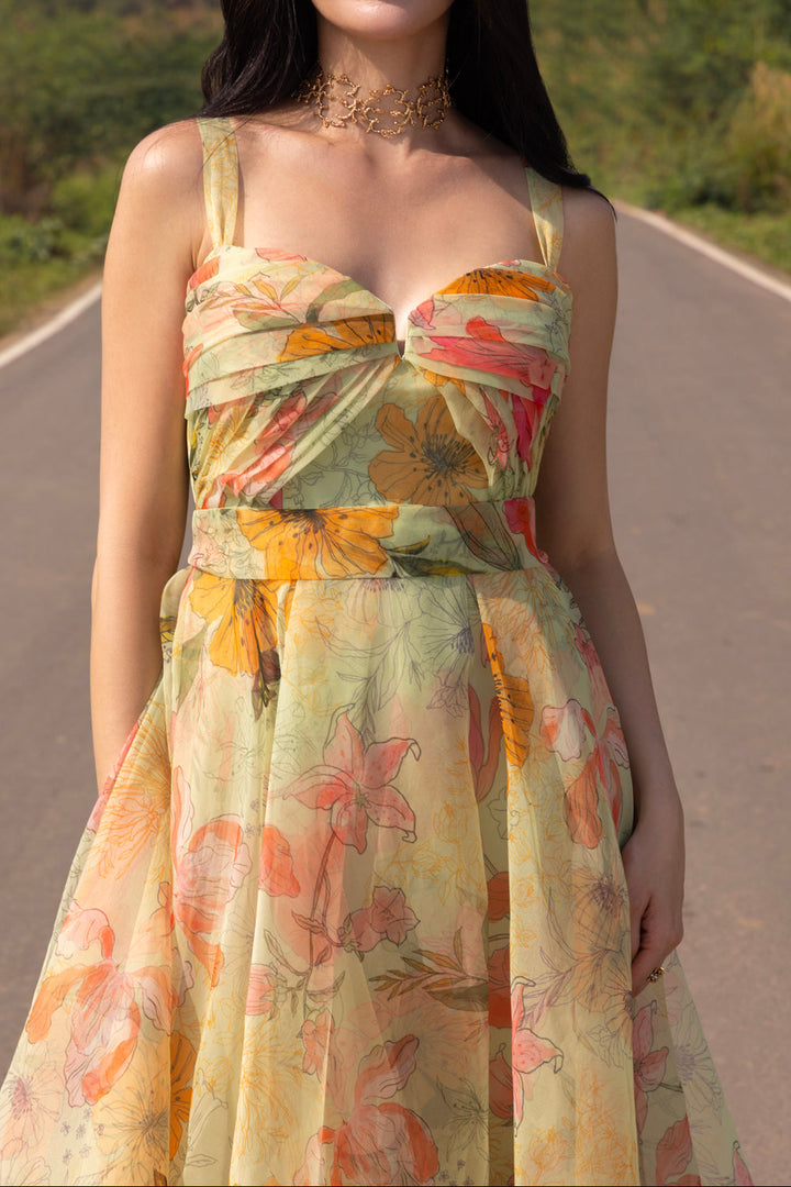Alice Printed Organza Dress