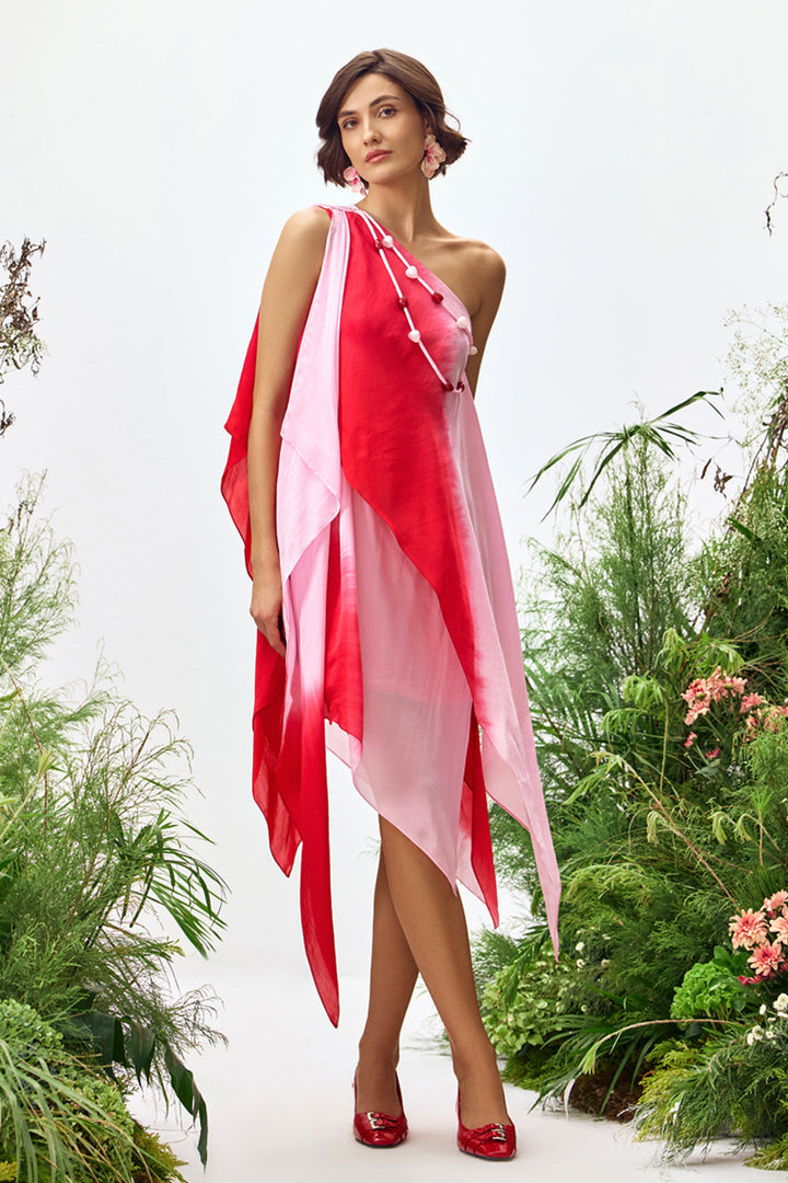 Belle Ombre Asymmetric Dress