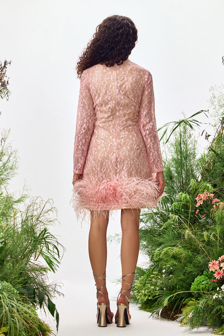 Rose Lace Feather Mini Dress