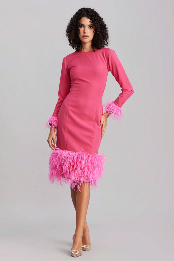 Barbie Pink Feather Dress