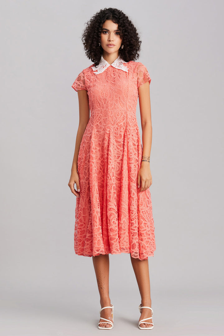 Peach Lace Collar Midi Dress