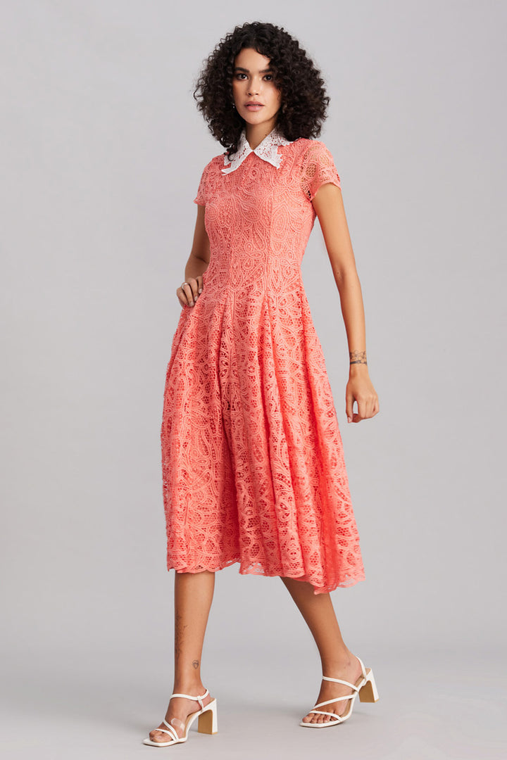 Peach Lace Collar Midi Dress