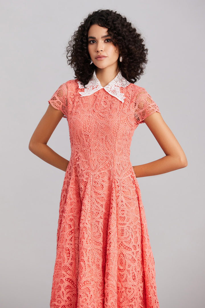 Peach Lace Collar Midi Dress