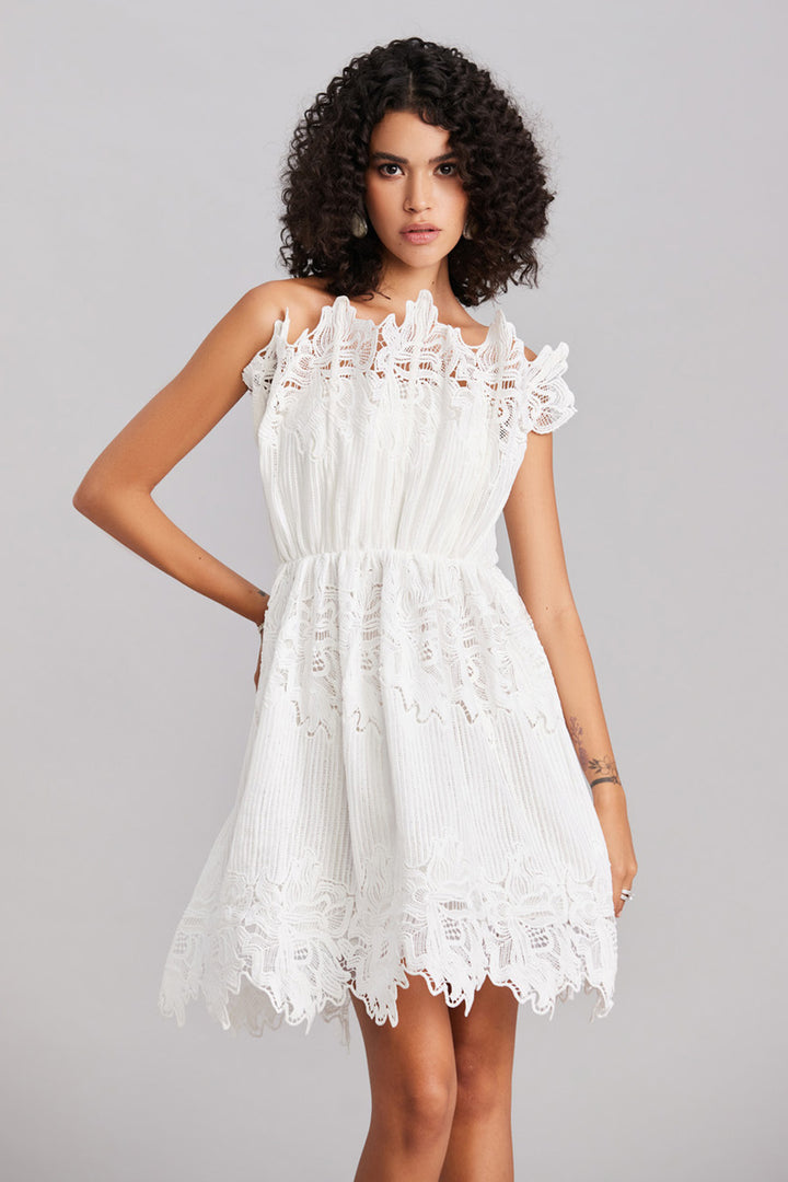 White Scallop Lace Mini Dress