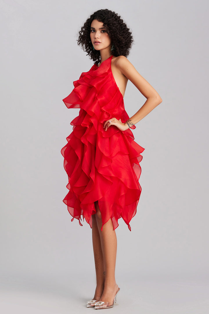 Scarlet Ruffle Dress