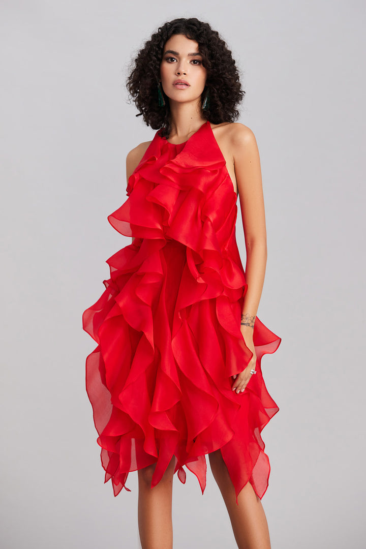 Scarlet Ruffle Dress