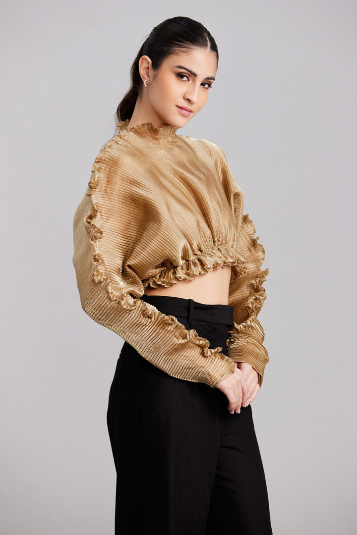 Gold Pleated Raglan Top